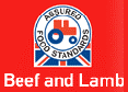Beef and Lamb